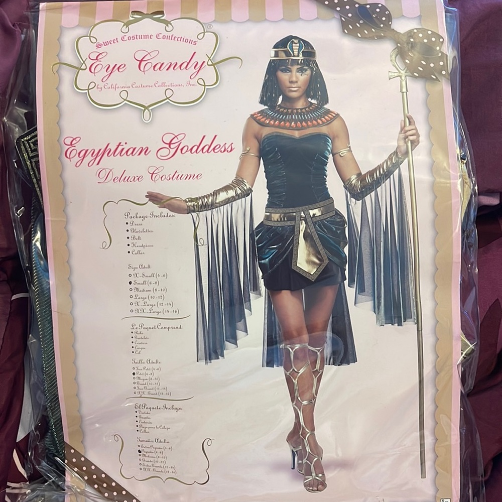 Egyptian Goddess Costume